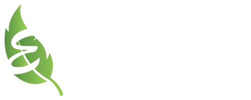 E-Link Consult Limited